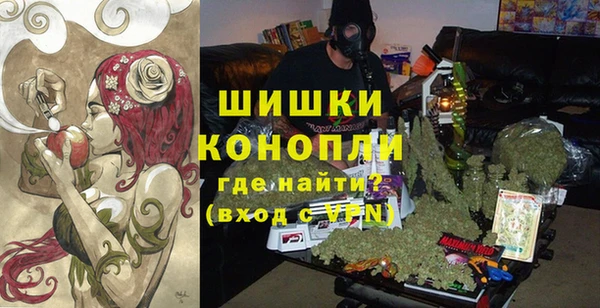 гидра Магас