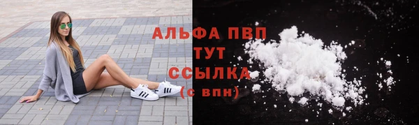 гидра Магас