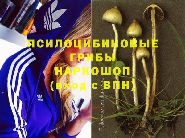 каннабис Майский
