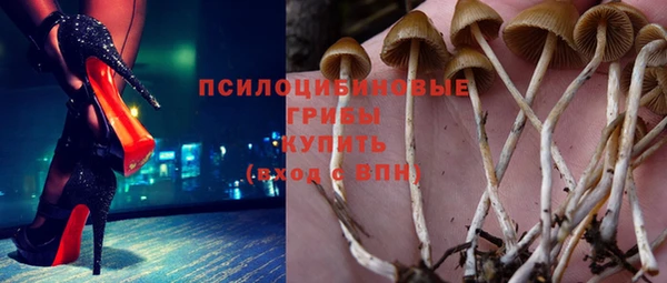мдпв Липки