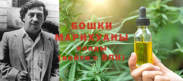 гидра Магас