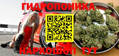 мдпв Волгодонск