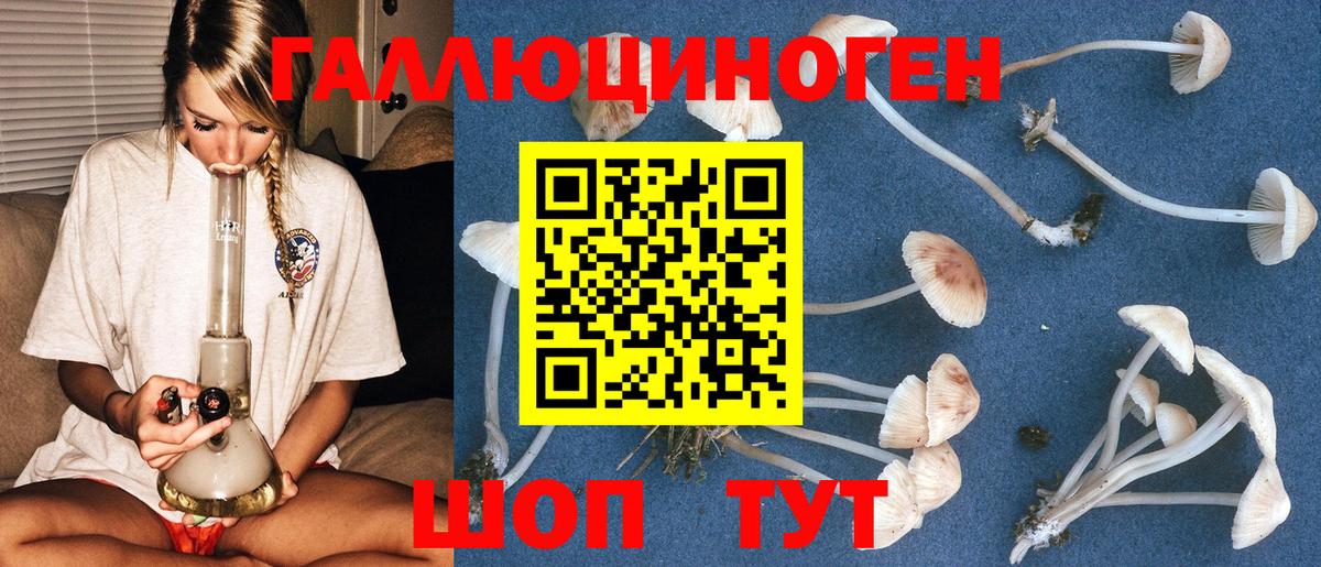 Дзержинский  Галлюциногенные грибы мухоморы  Галлюциногенные грибы GOLDEN TEACHER  Вход с VPN 