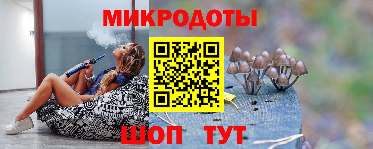 Галлюциногенные грибы мухоморы Дзержинский