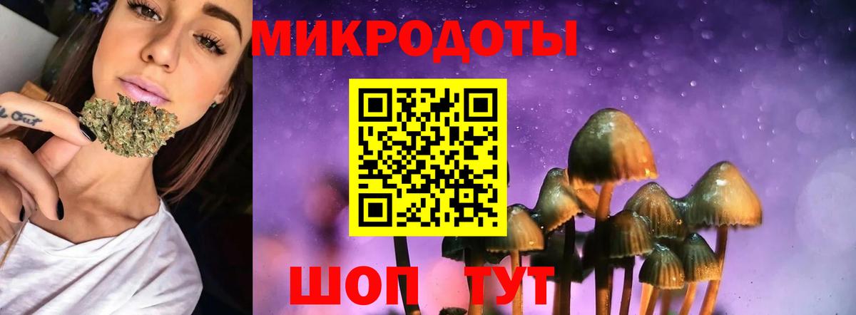 Псилоцибиновые грибы Cubensis  Дзержинский 